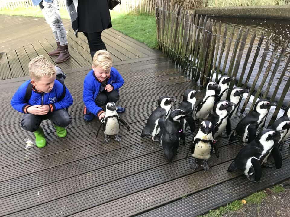 aquazoo friesland herfstvakantie