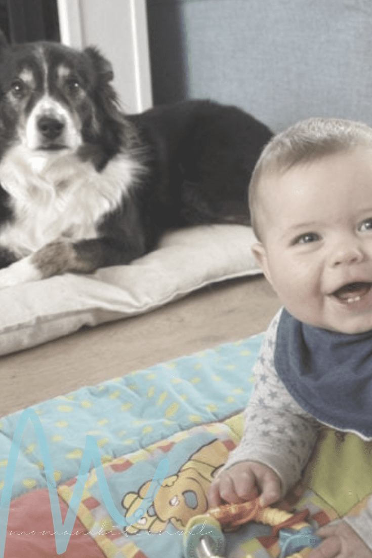 Momambition.nl Huisdieren en baby’s, kan dat samen?