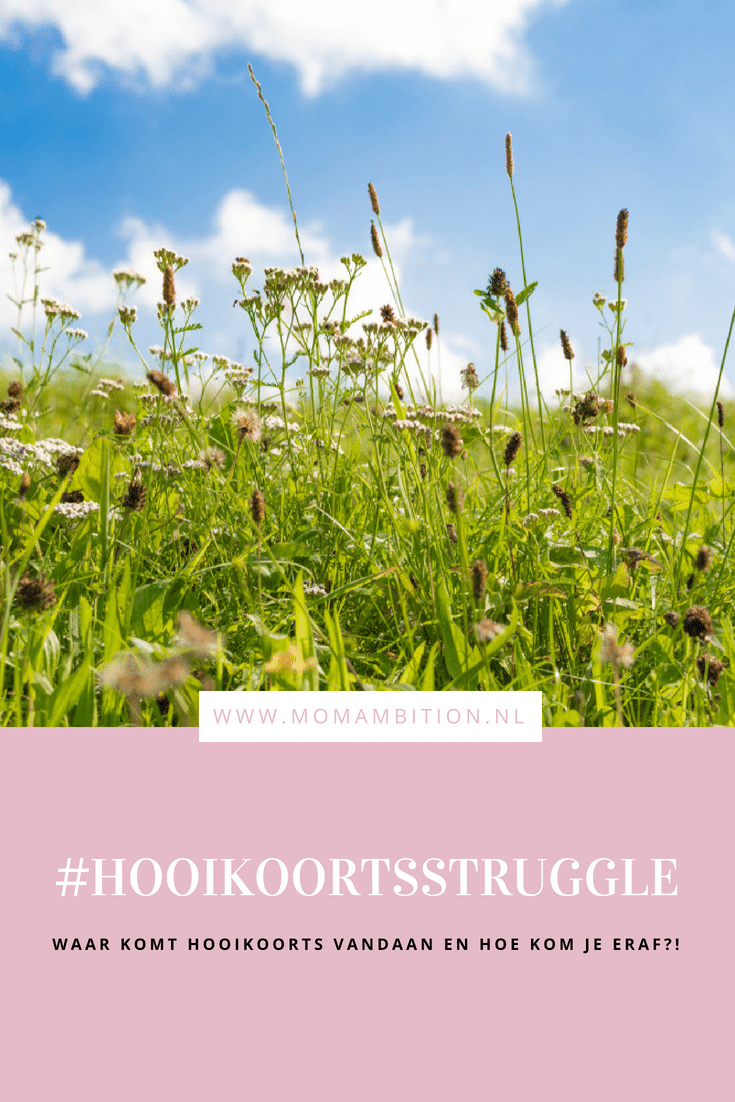 vision direct Hoe ik de strijd tegen hooikoorts hebben gewonnen Momambition.nl